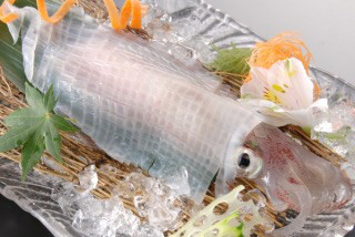 {9E54F8BA-D27E-4395-AB8A-1ECC7700F3E7}