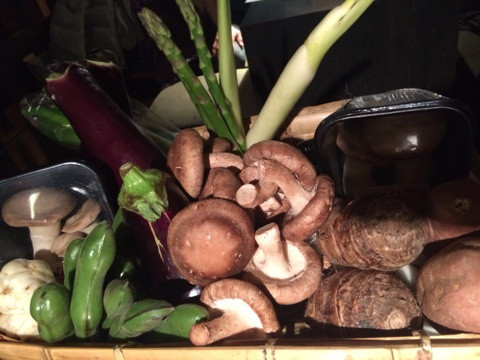 {72B5DF02-214F-4446-91FF-BE37131E0BAA:01}