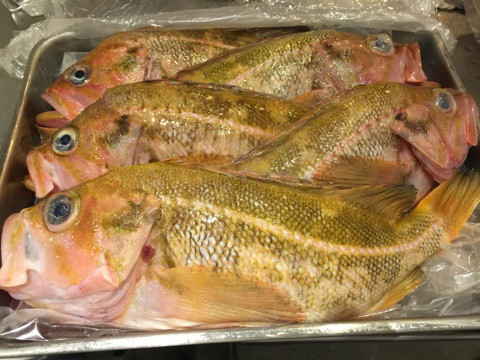 {E16DB702-1E4E-47D4-BEDD-50A43119F994:01}