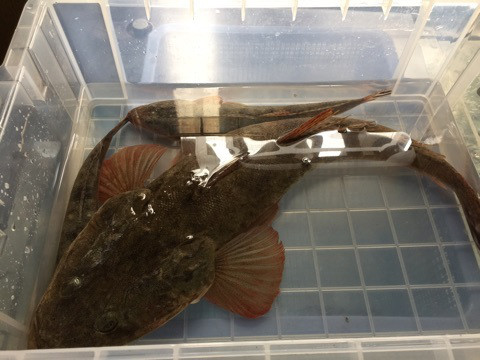 {2048F3D5-51C1-4674-8958-FD261940851E}