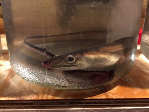 {3A5DDF8D-D15D-4CA3-ACE9-291F838A4A96}