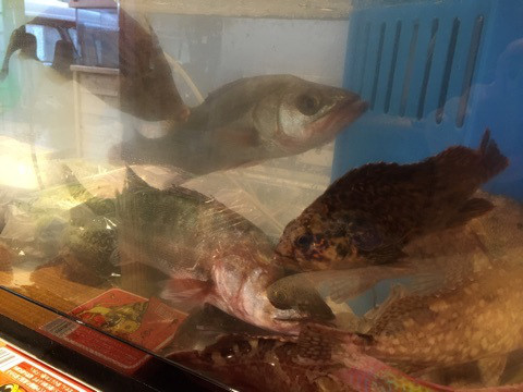 {35E81462-F1B5-4B30-98A6-0C9049E1FA45}