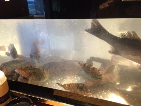 {7FEFF059-0A8C-428A-A3A2-880BF0A4365F}