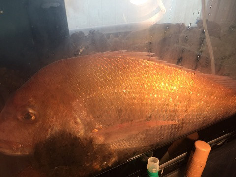 {2DBD24DD-A421-452C-93F0-FC55D37465F0}