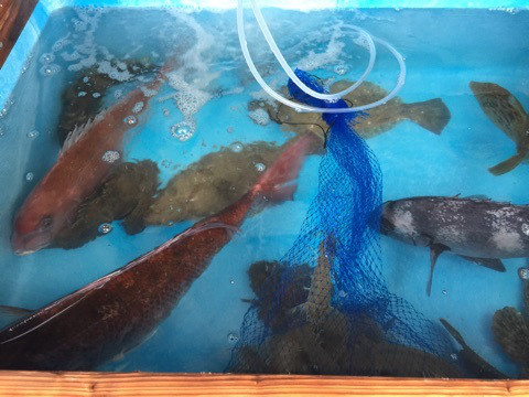 {700A0196-CA92-4550-A4F4-880FC70DCF1E}