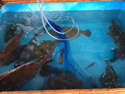 {725F4867-CB09-421D-A1A0-E16F59B0D0AF}