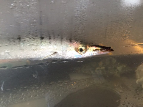 {D108847D-A439-4C6E-8D28-7374A5B5D9F7}