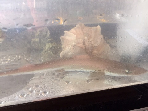 {77D3E010-4134-4B16-8F2C-B8760B3A3171}