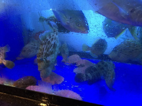 {AAC651BF-6F58-4770-9900-25AD40E5763D}