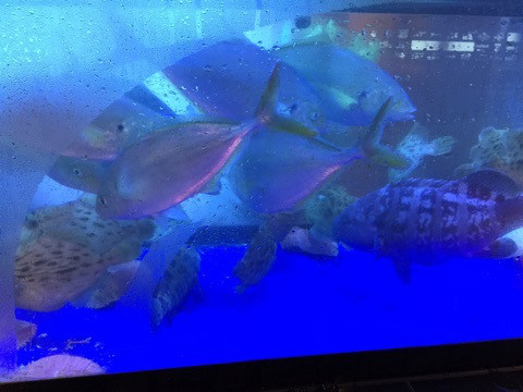 {8DCCE1C5-37FE-448E-8B6F-FE98451F10B6}