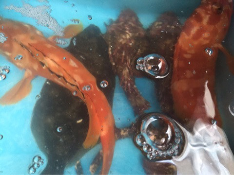 {86116750-9A3F-46B9-B443-65A3CF062C0E}