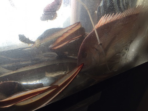 {E7673C0F-D089-4F01-A3D8-E0D895DF2756}