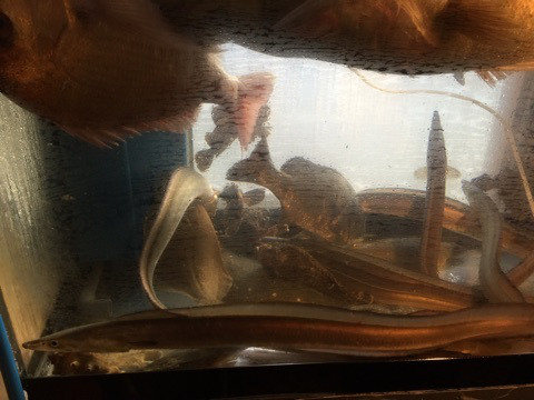 {DCA7D05F-775F-4BB4-92E1-1A0C1268AA49}