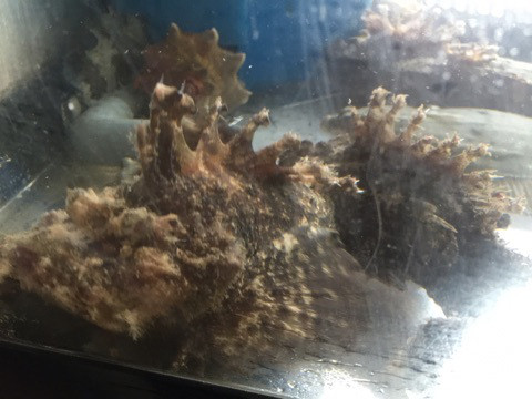 {85A15A3F-C45C-4813-888C-F8D67FB39593}