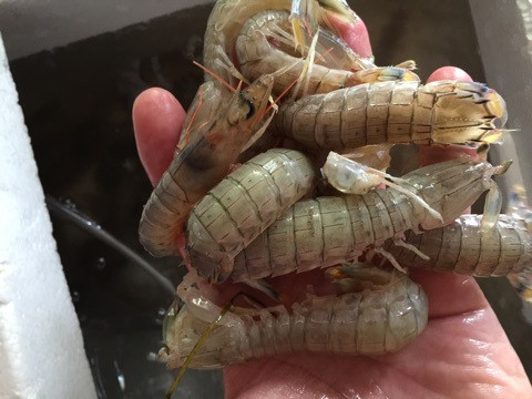 {E046D354-4485-4A91-ACE9-4E5E34A7E08E}