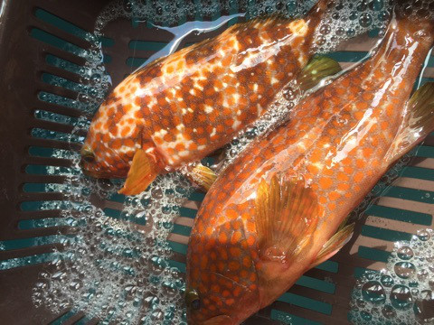 {FE20FC21-24EF-45E9-A9D3-31FA9BEDA37E}