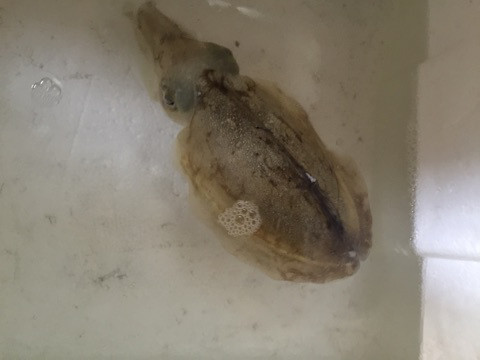 {106AEE74-DD59-4DA0-BE8E-BCF67A973E5A}