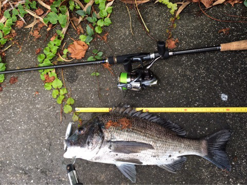 {62F9D96B-B940-41B1-8363-D01983C78497}