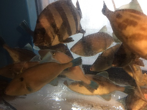 {8E12FE22-A26A-490C-99A9-4F8CABFAA1F9}