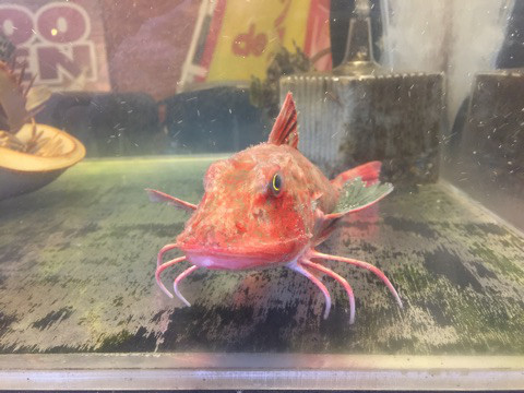 {B9373B97-77FB-49B2-8CCB-DA68AAA088D2}