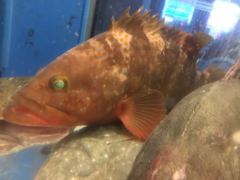 {B13C4001-7344-4042-B07B-65EF0406678B}