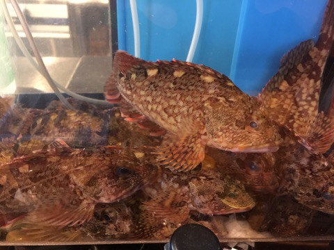 {4F5BE56A-2ACE-441A-920A-68D7FEF8C8DB}