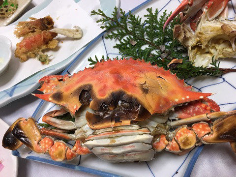 {B6FAECA6-0CD5-4054-8C42-AA93EF65E8FC}