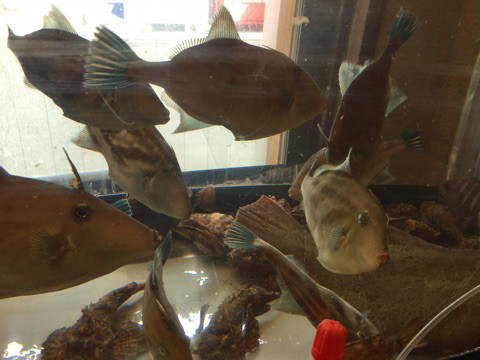 {624F957B-9ADF-482A-B2D2-FCBF6F5325C0}