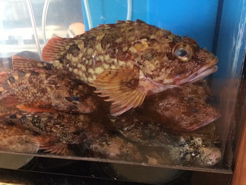 {8423E64E-30E8-4CED-BE22-B674CD6D73F1}