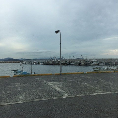 {295DA1FD-58A2-4D45-B154-9F982D9EC66C}