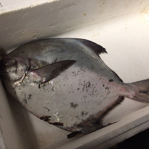 {EFAFBCCB-97E4-4472-97FE-E1A53CBB21A8}