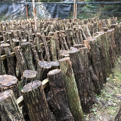 {14848C5E-3D24-417F-939E-94FE32B0E957}