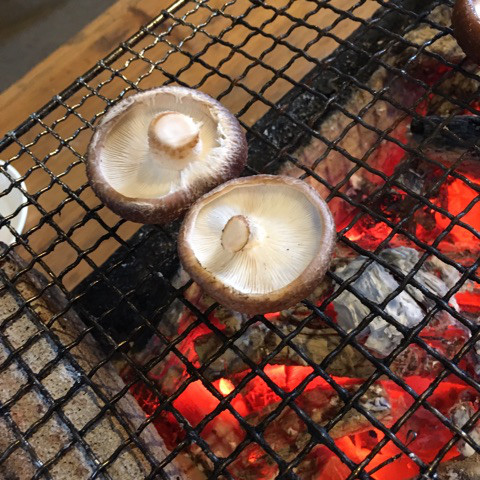 {48CB6758-B671-42CF-8E2A-1F91EA0851DA}