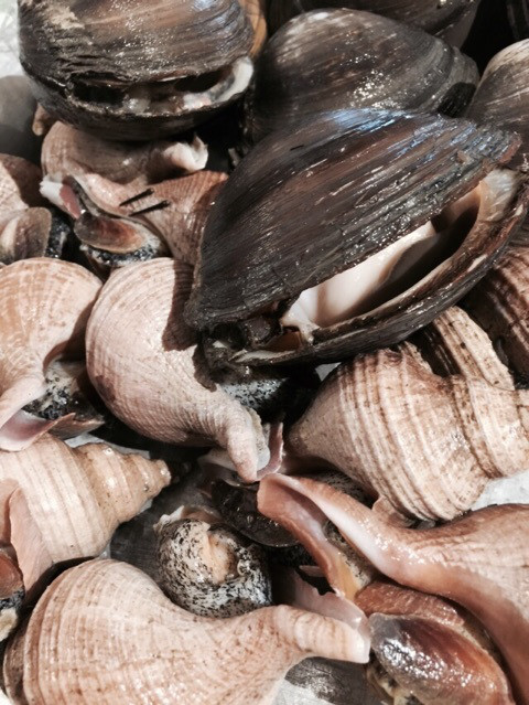 {F5D407A5-A9FF-4DAE-979D-11EDD3B4CE52:01}