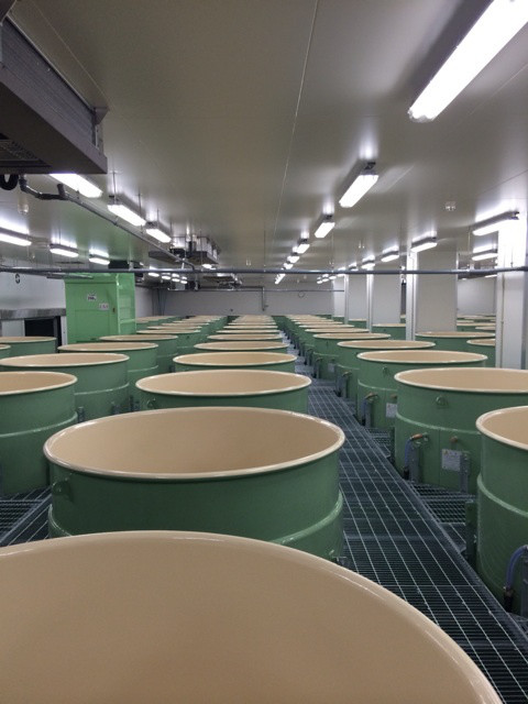 {0EA01B0E-CD90-4246-B245-61E7A5005C10:01}