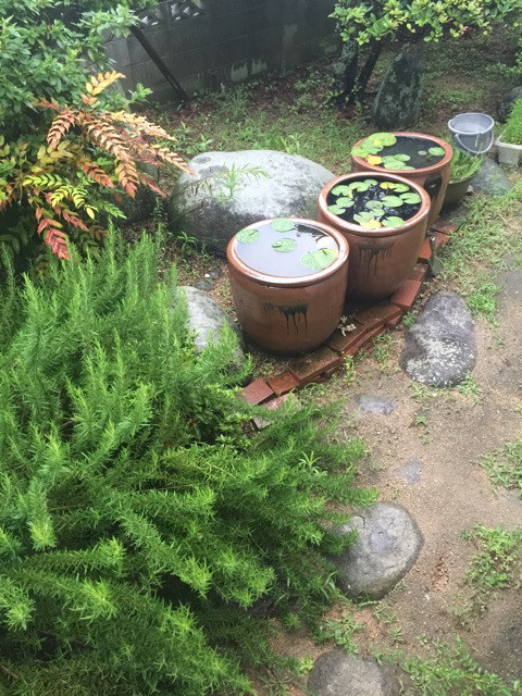 {D81A4921-DEEE-41B9-9667-1B30EBAAB793:01}