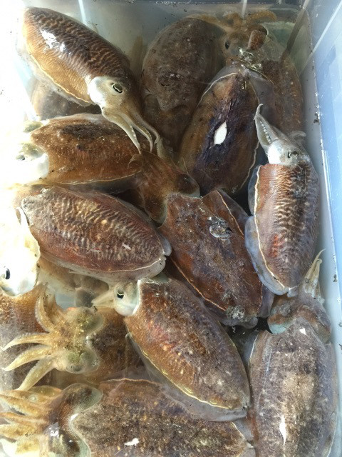 {8A613C4A-0214-4D90-B8E0-318749EC4A46}