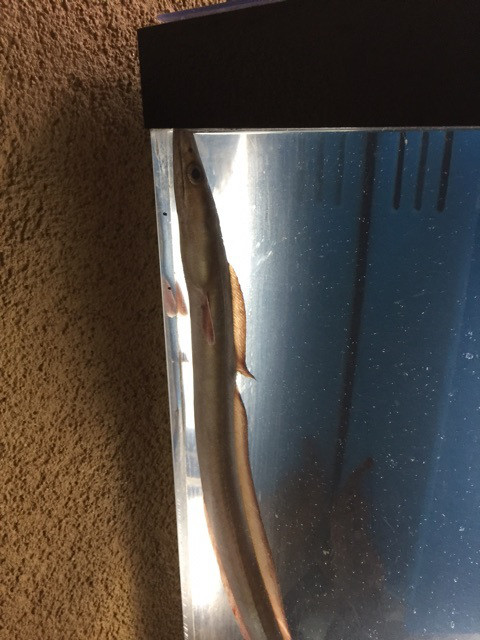 {7C9D6ACE-34D0-4C5D-94E4-A2E86A5B5988}