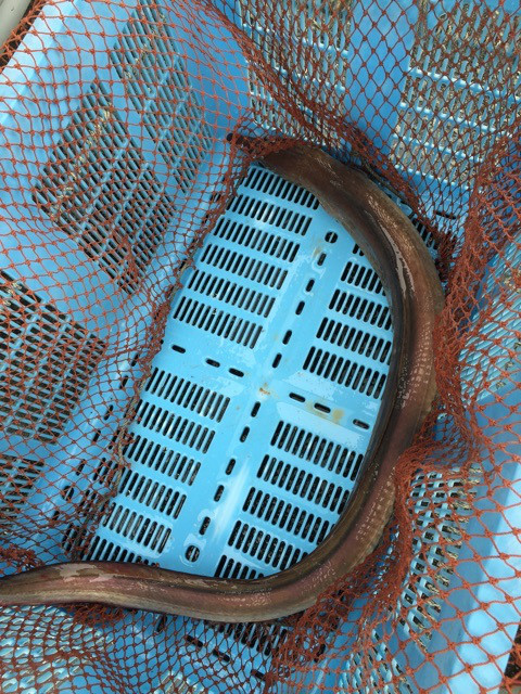 {3C4C6083-69CC-43D6-9B8F-5710E807793C}