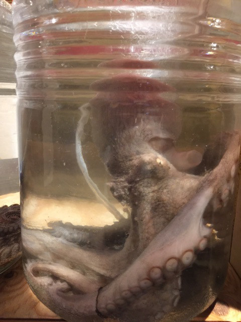 {5C287291-F481-4BFC-AB7C-2ED515698C8D}