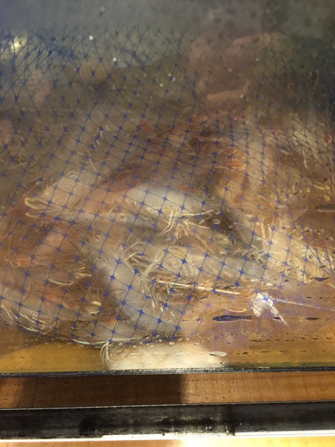 {DF3E23EF-69C2-412F-BB53-D6AF017906EA}