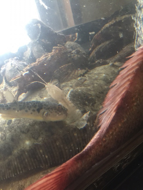 {93DA66E4-6363-42B2-B8C7-F64C7AD45838}