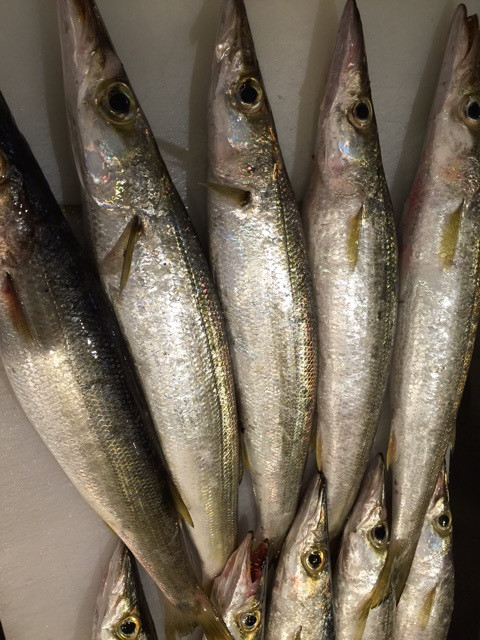 {514A5484-D903-4893-96B6-3E9E1DC55AB1}