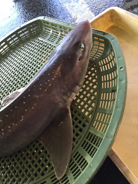 {D812F97D-3FA5-40C7-BCD6-B88CF45E4BDD}