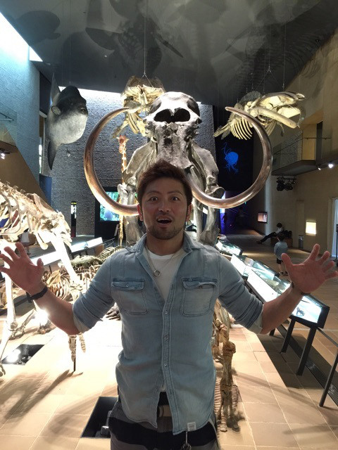 {69118D6E-C07F-4CB6-8BF3-C03078D44FDC}