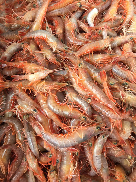 {71442CB9-7871-493B-8A10-08C39E16B6E6}