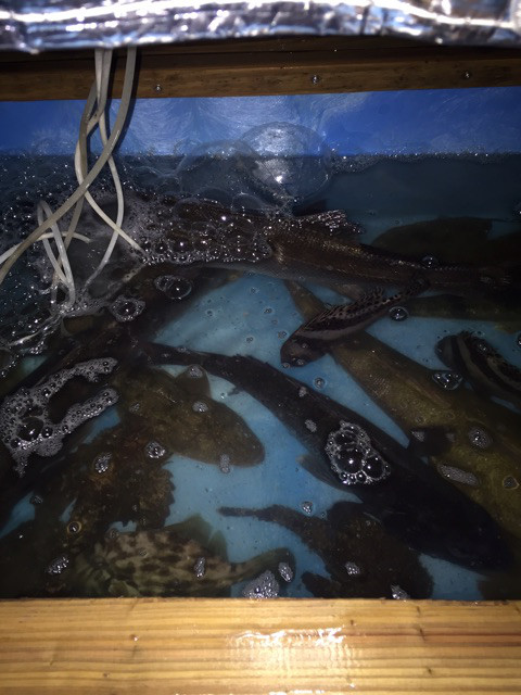 {C712C8E7-AD23-4408-BEE9-0C8B0686DF41}