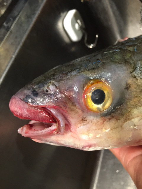 {EBA1CDEE-9588-4B97-A951-C49D7AFC5071}