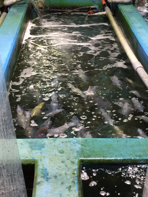 {92C2D725-030E-4342-A99C-1C8FB524B2BF}