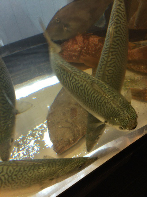 {EDDF21A5-6022-413B-8A7B-751B118D25CA}